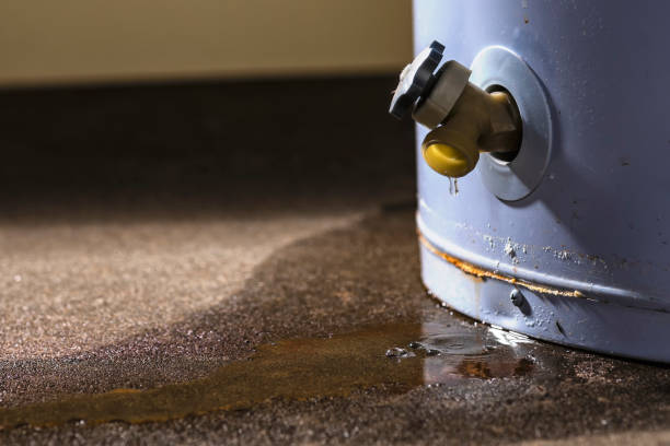 Best Basement water damage restoration  in Trucksville, PA