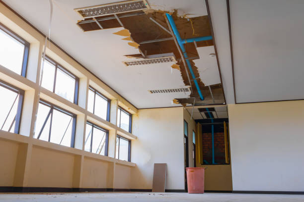 Best Sewage cleanup and water damage restoration  in Trucksville, PA