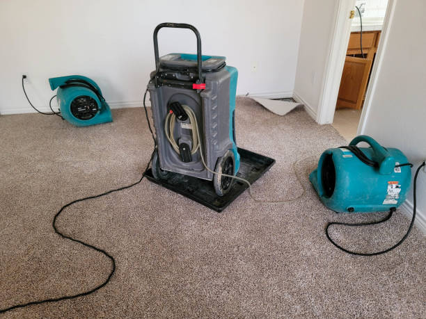 Best 24-hour water damage restoration  in Trucksville, PA