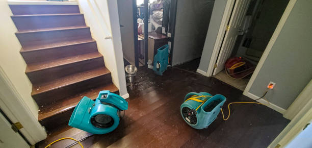Best Local water damage restoration  in Trucksville, PA