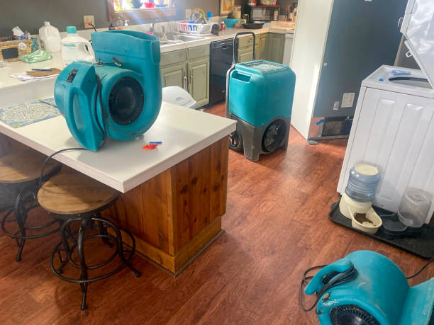 Best Residential water damage restoration  in Trucksville, PA