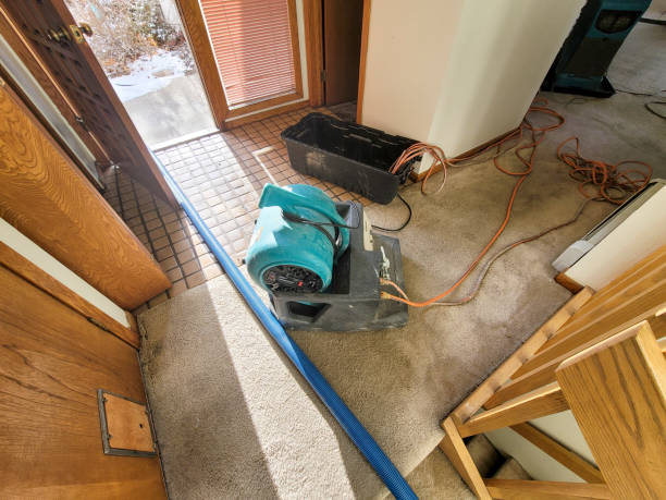 Best Commercial water damage restoration  in Trucksville, PA