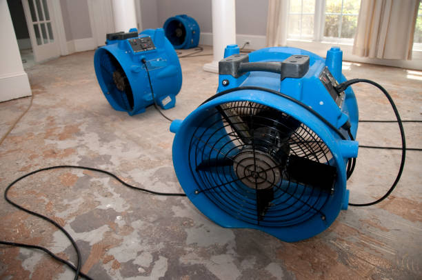 Best Commercial water damage restoration  in Trucksville, PA