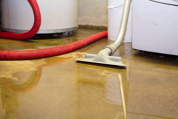 Best Water damage restoration insurance claims  in Trucksville, PA