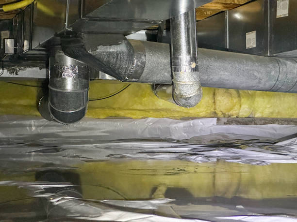 Best Water damage cleanup near me  in Trucksville, PA