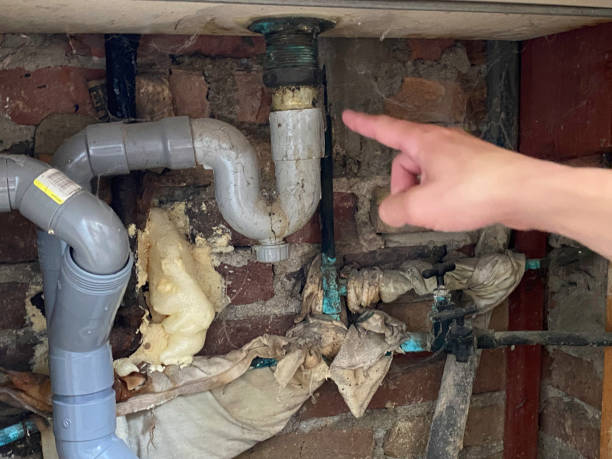 Best Water damage restoration experts  in Trucksville, PA